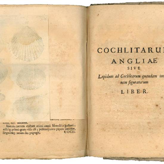 Martini Lister e Societate regia Londini Historiae animalium Angliae tres tractatus. Unus de araneis. Alter de cochleis tum terrestribus tum fluviatilibus. Tertius de cochleis marinis. Quibus adjectus est quartus de lapidibus ejusdem insulae ad cochlearum