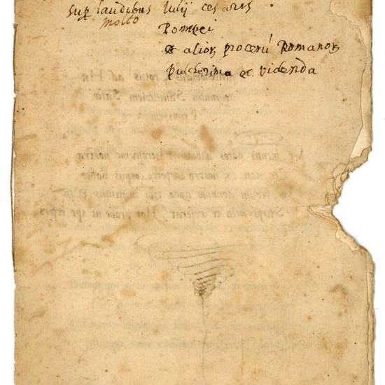 [Carmina] ad Hieronymum Sanvitalem Salae Principem. Manoscritto cartaceo (autografo?). [Reggio Emilia?], prima metà del XVI secolo