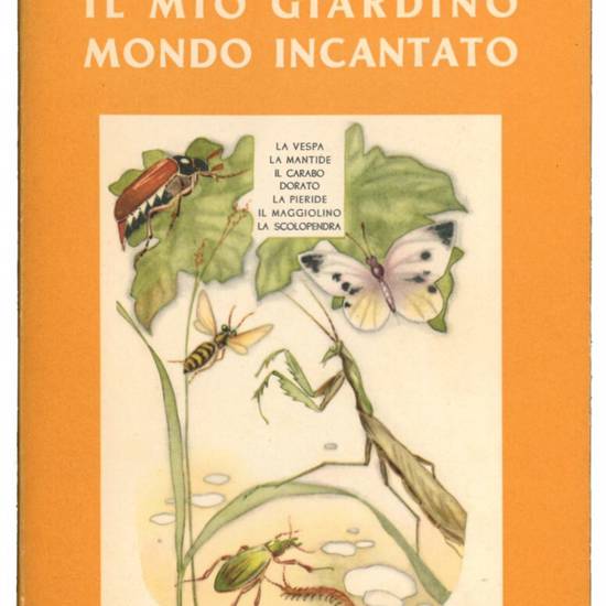 Il mio giardino mondo incantato. Vol. 3. La vespa, la mantide, il carabo dorato, il maggiolino, la pieride, la scolopendra.