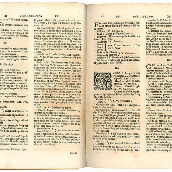 Vocabolario toscano dell?arte del disegno nel quale si esplicano i propri termini e voci, non solo della pittura, scultura, & architettura; ma ancora di altre arti a quelle subordinate, e che abbiano per fondamento il disegno, [...] agli illustrissimi e v