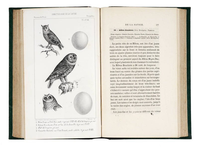 Ornithologie de la Savoie ou Histoire des oiseaux qui vivent en Savoie à l’état sauvage. Tome premier [-quatrième]