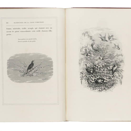 L’Oiseau. Illustrée de 210 vignettes sur bois dessinées par H. Giacomelli. Quatorzième édition