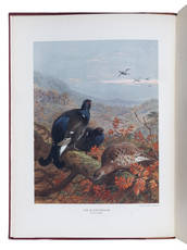 The Natural History of British Game Birds