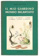Il mio giardino mondo incantato. Vol. 2. Il ragno, la libellula, la rana, la cicala, il lombrico, la lucertola.