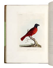 A General History of Birds. Vol. I [-X]
