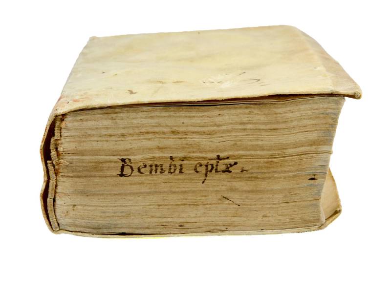 Epistolarum familiarium, libri VI. Eiusdem, Leonis X. Pont. Max. nomine scriptarum, lib. XVI