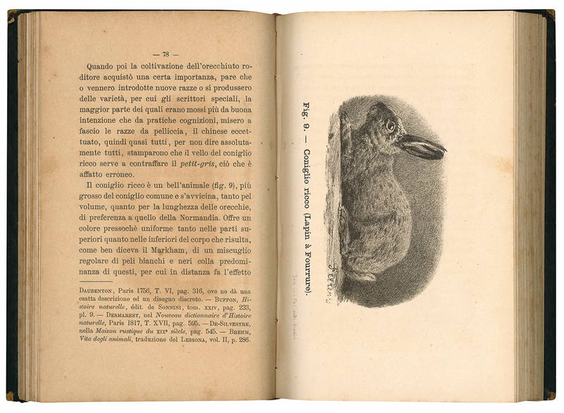 Allevamento razionale del coniglio con 14 fotografie rappresentanti le razze piu distinte ed utili a coltivarsi.