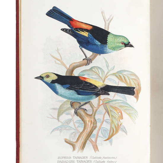 Foreign finches in captivity. Second edition. Illustrated by F. W. Frohawk