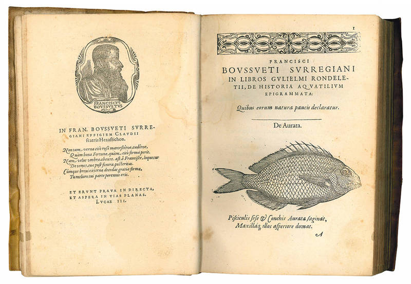 De natura aquatilium carmen, in universam Gulielmi Rondeletii doctoris medici, & medicinae in schola Monspeliensi professoris regii, quam de piscibus marinis scripsit historiam: Cum vivis eorum imagnibus [sic], Opusculum nunc primùm in lucem emissum