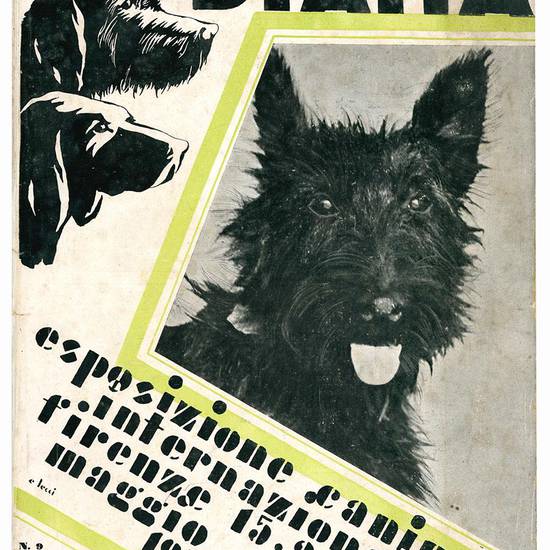 Diana. Esposizione canina internazionale. Firenze 15-22 maggio 1932-X. Numero doppio.