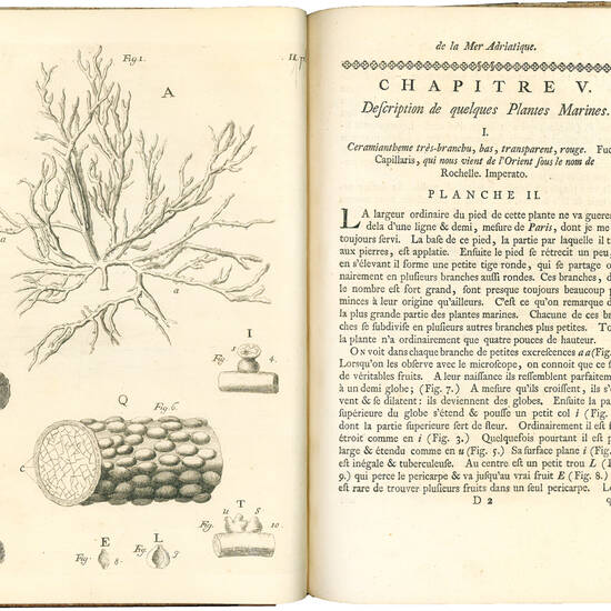 Essai sur l’histoire naturelle de la mer Adriatique par le docteur Vitaliano Donati, avec une lettre du docteur Leonard Sesler, sur une nouvelle espece de plante terrestre, traduit de l’Italien