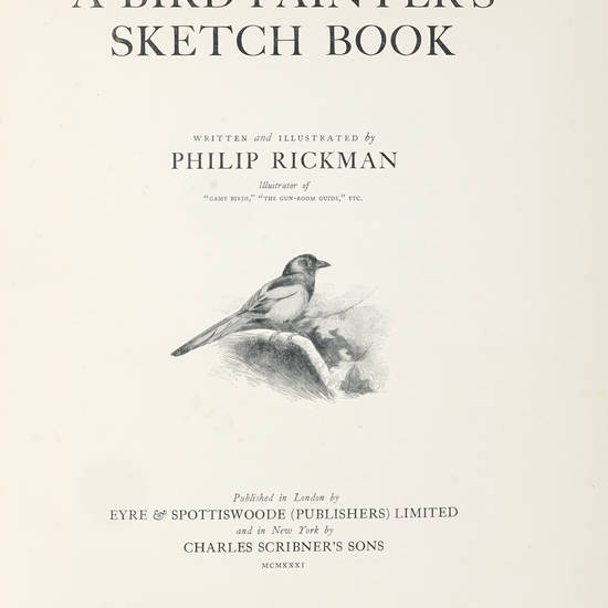 A bird painter’s sketch book