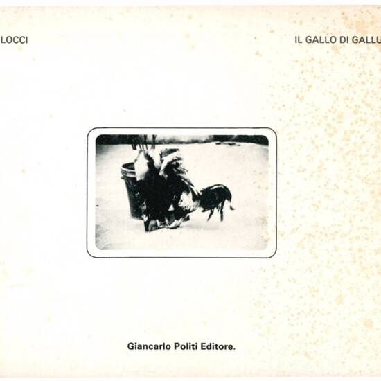 Il gallo di Gallura. The cook of Gallura.