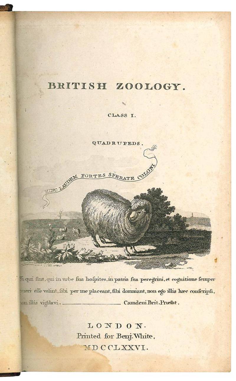 British zoology. Fourth edition. Vol. I (-IV).