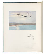 A bird painter’s sketch book