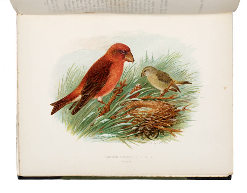 Birds of Great Britain and Ireland. Order Passeres, complete in two volumes