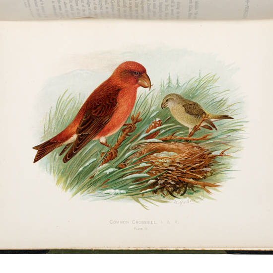 Birds of Great Britain and Ireland. Order Passeres, complete in two volumes