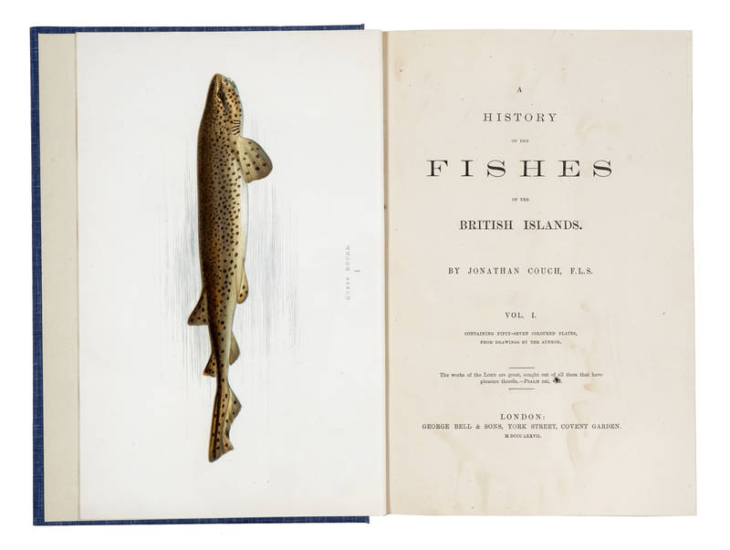 A history of the fishes of the British Islands