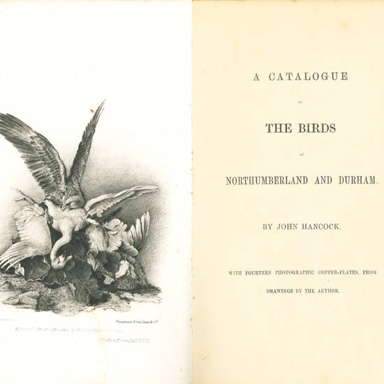 A Catalogue of the Birds of Northumberland and Durham. Natural History Transactions of Northumberland and Durham, Volume 6, 1873