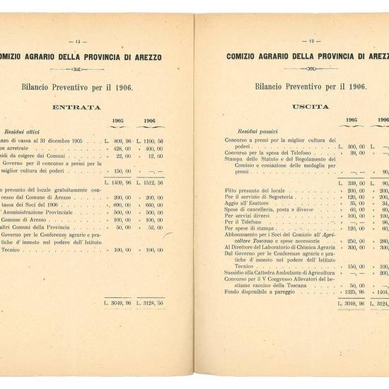 Comizio agrario della provincia di Arezzo. Resoconto morale ed economico della gestione 1905 e bilancio preventivo 1906
