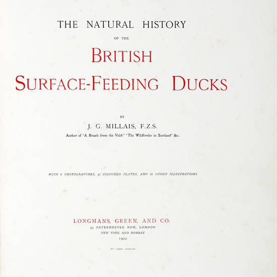 The Natural History of the British Surface-Feeding Ducks [Illustrated by Archibald Thorburn and the Author]