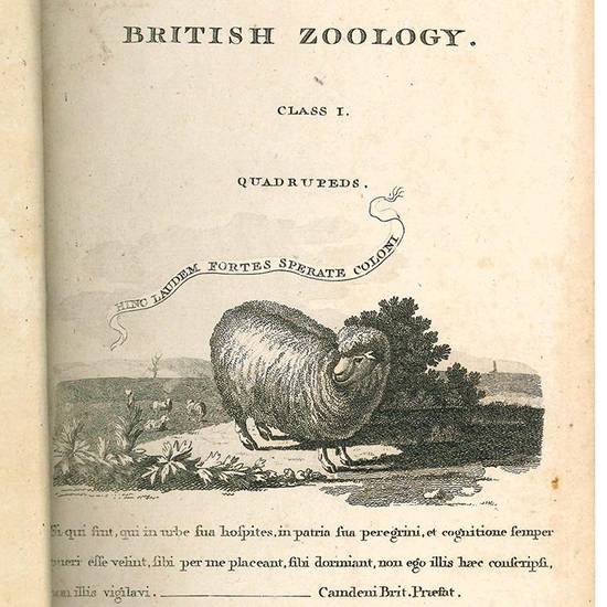 British zoology. Fourth edition. Vol. I (-IV).